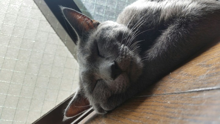 sleep