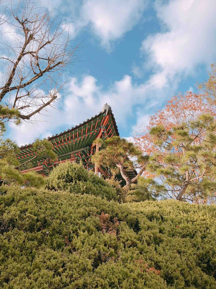 우우