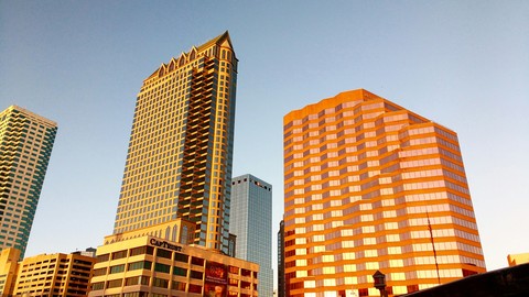 concrete jungle