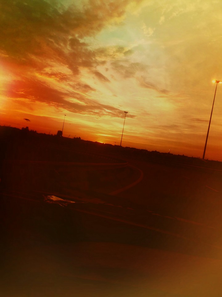 Road to dawn of life