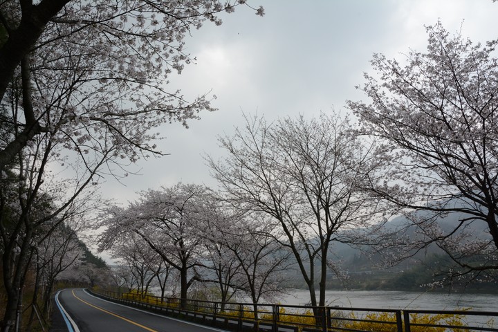 풍경이미지