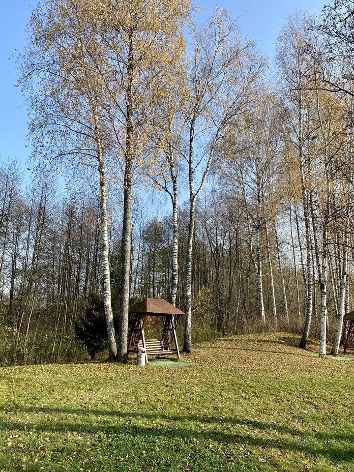 autumn
