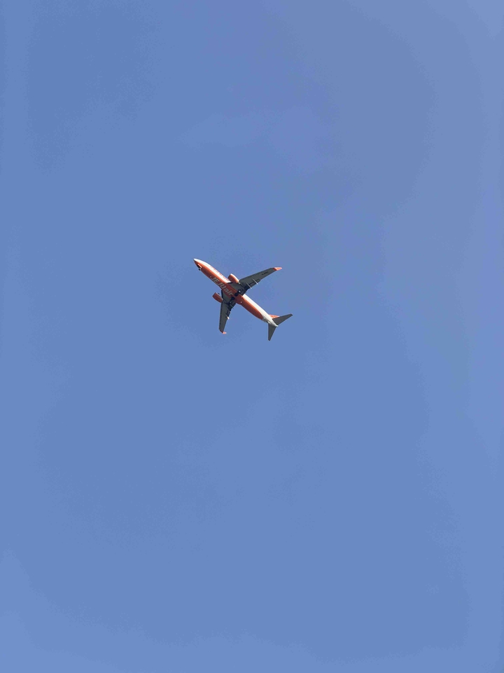 fly to the sky