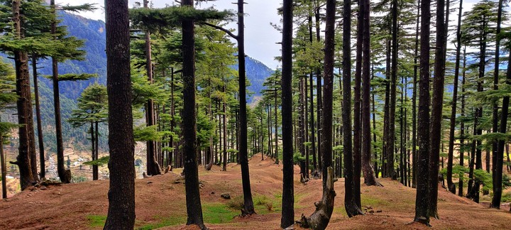 Somewhere in the forest at Patnitop