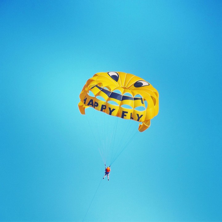 Happy fly