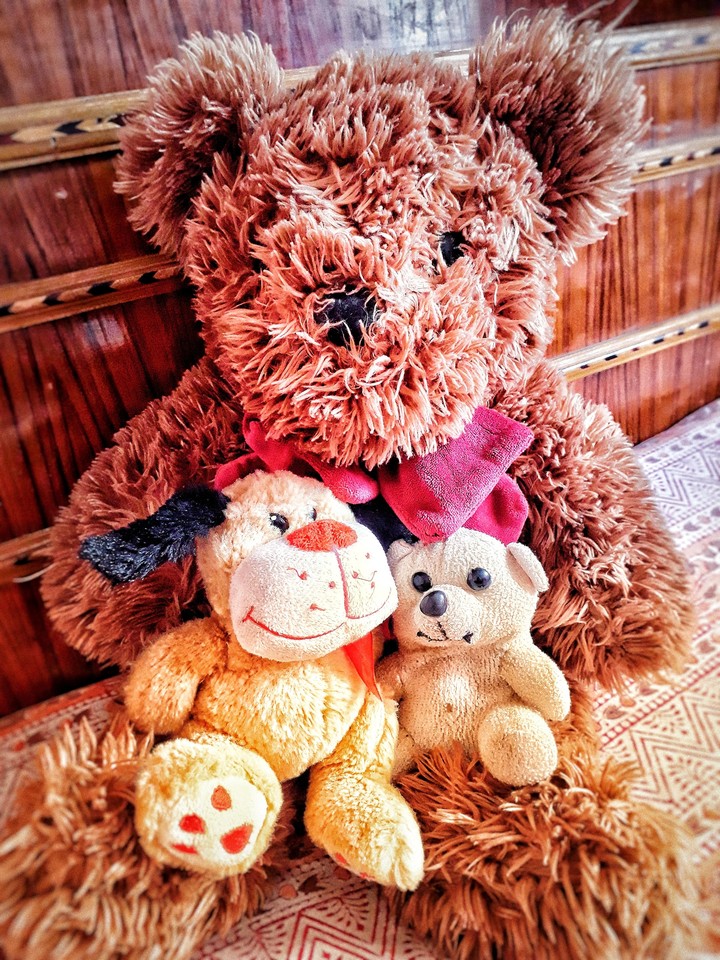 teddy bear