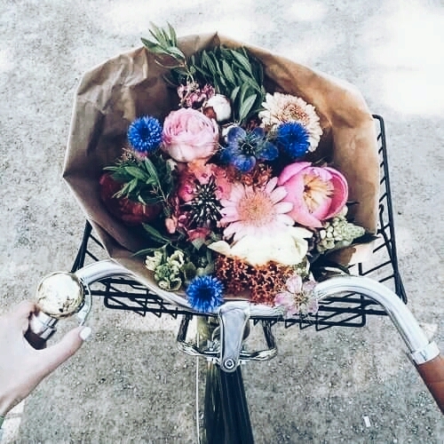 flowers