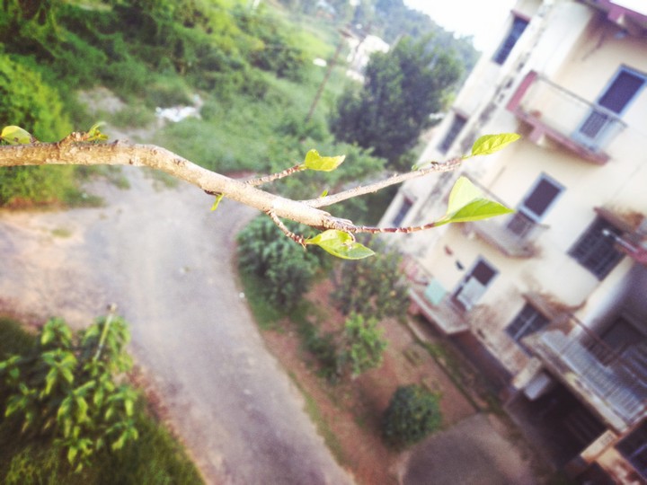 Nature