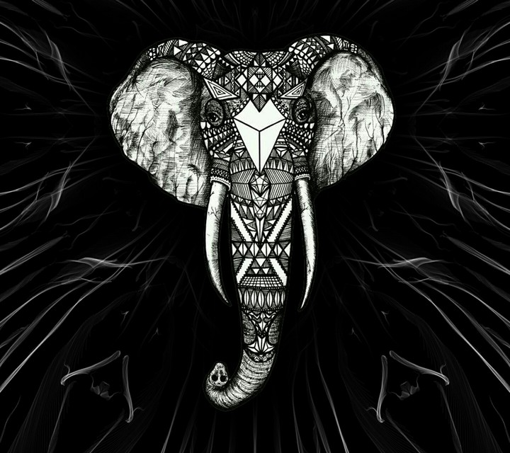 Elephant Hipstah