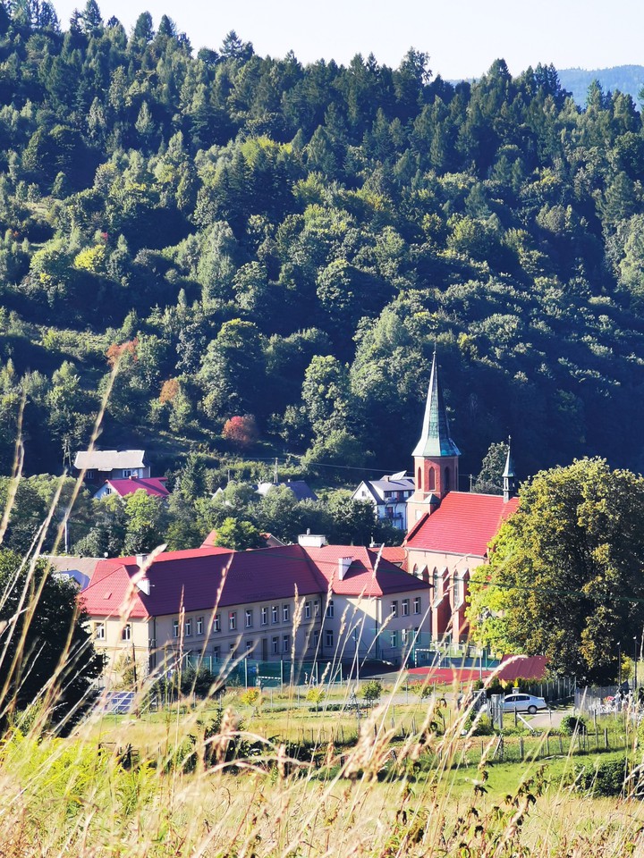 Landscape