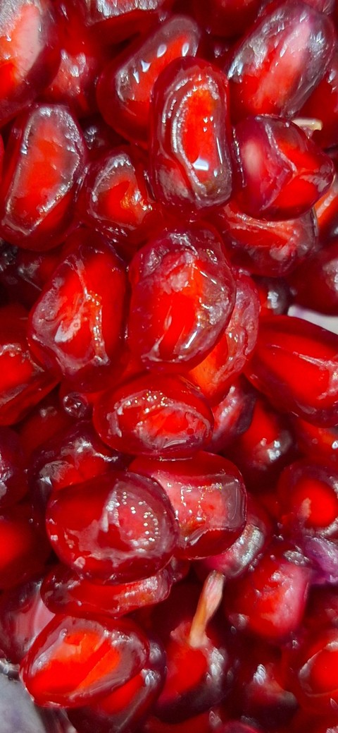 sfondi plant, انار