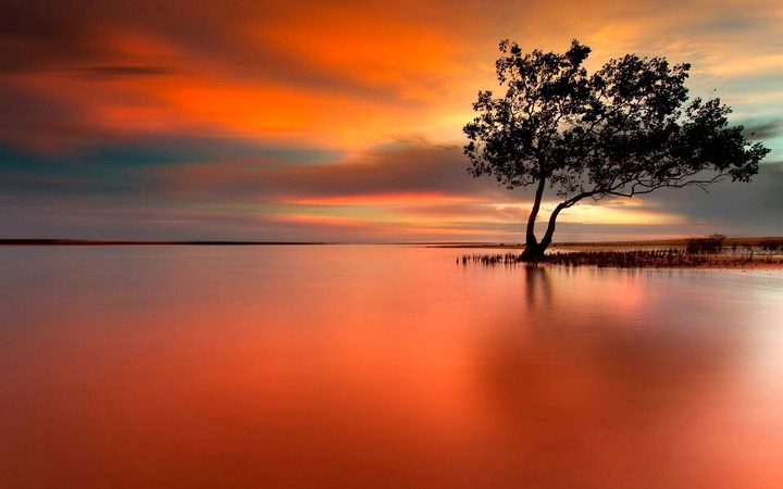 nature