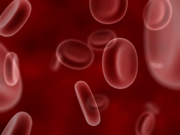 blood cells