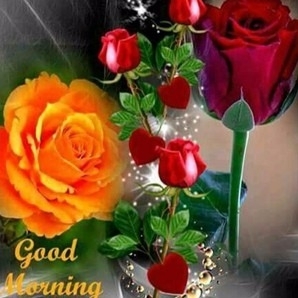 good morning