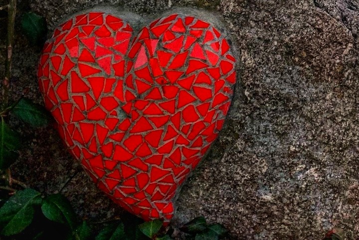 Heart ?