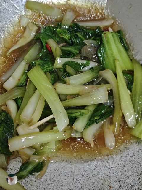 Today lunch