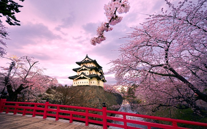 Somewhere in Japan