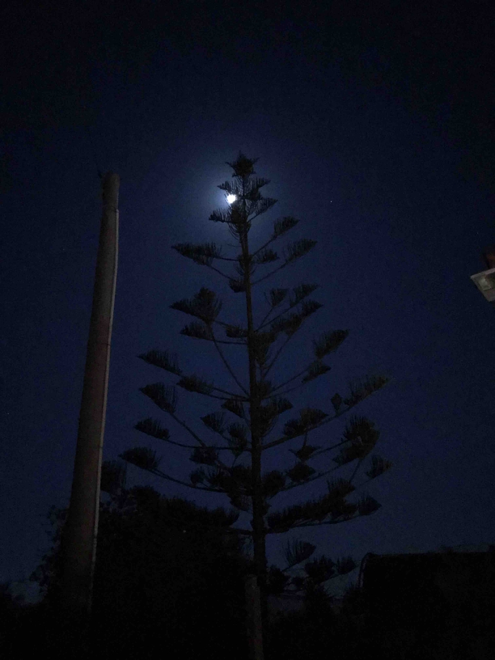 Al chiaro di Luna