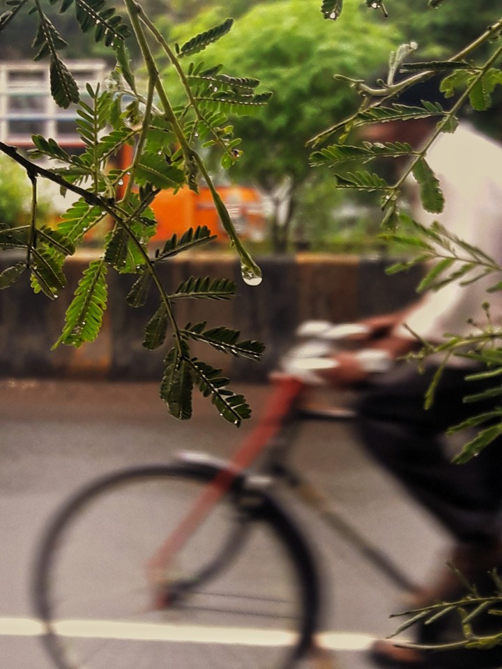 waterdrops...