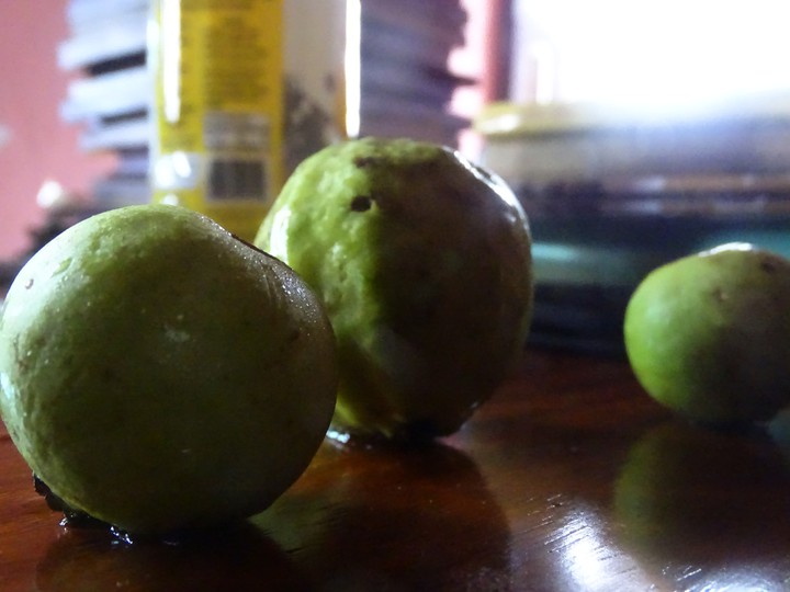 Guava