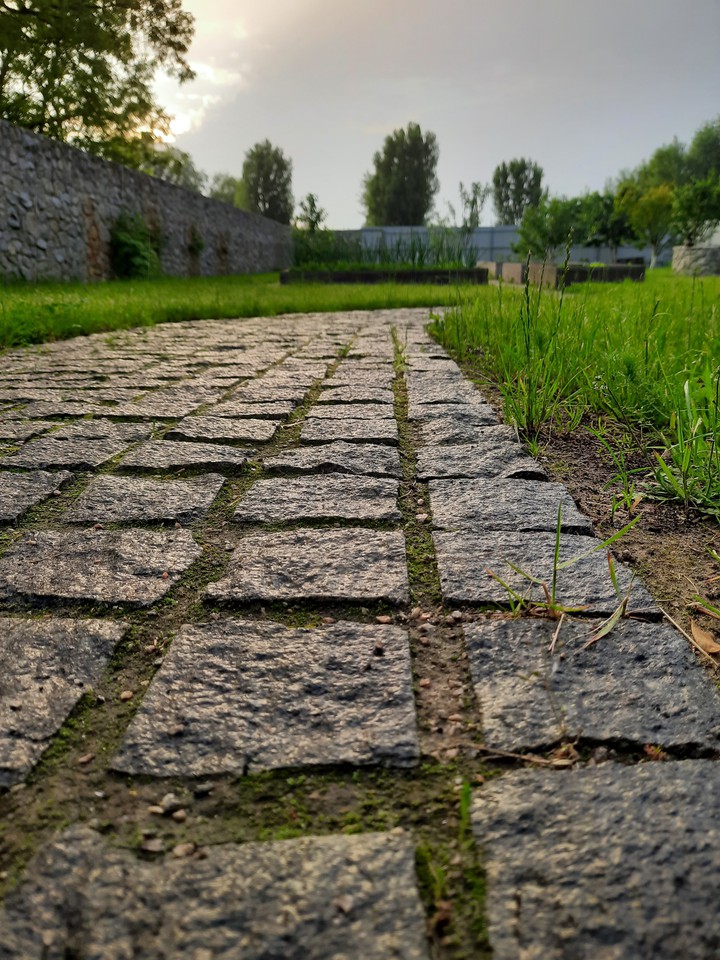 rain