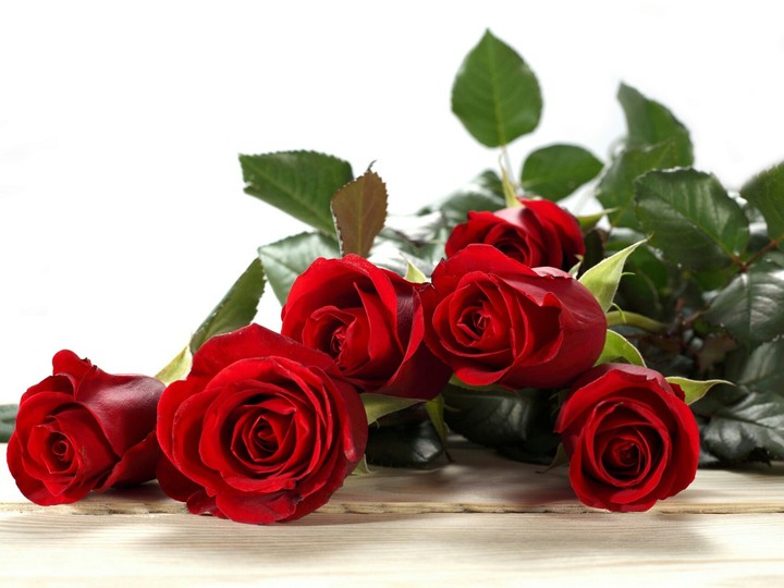 four you my dear friends ? ? ? ?
