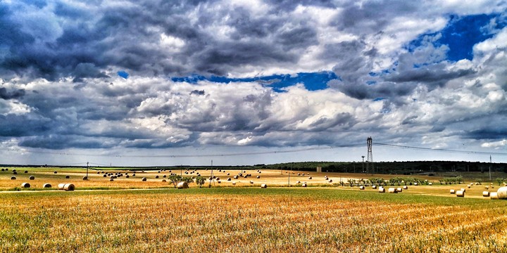 Landscape