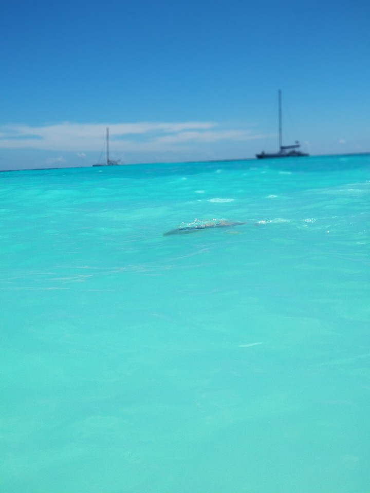 ...,)