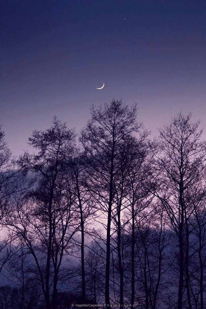 moon