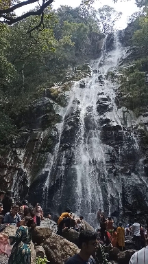 bee fall