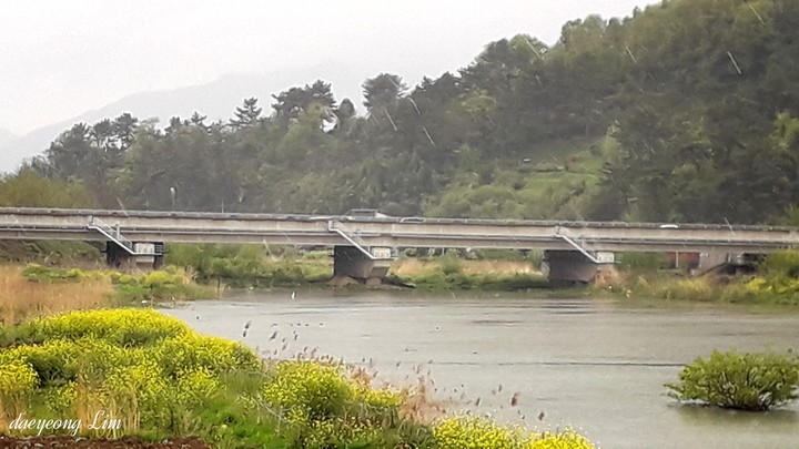 DY..it's raining
