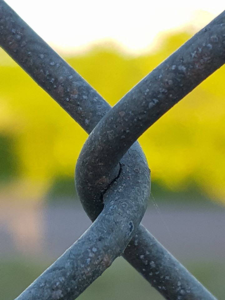 fence