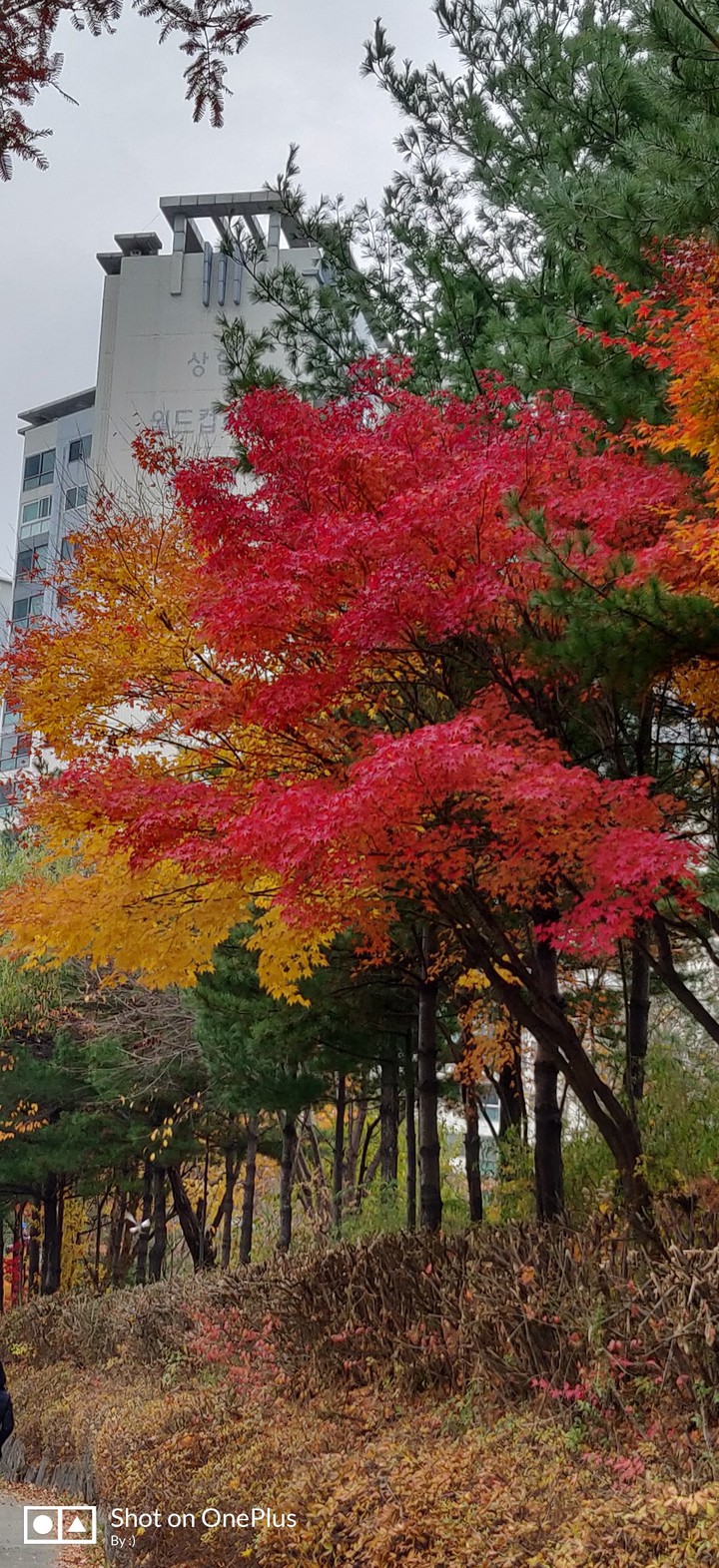colourful