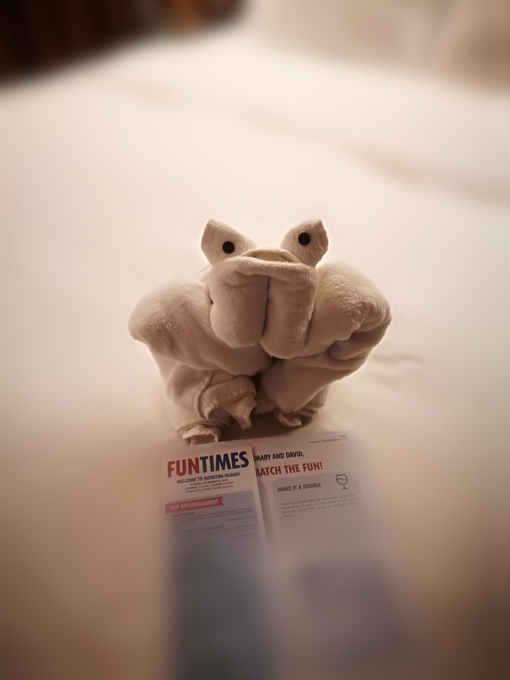 Towel frog