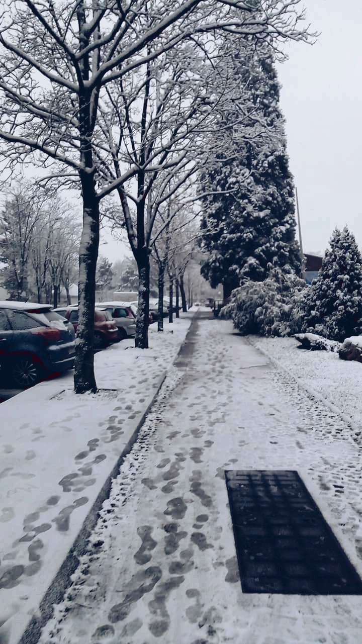 white is beautiful