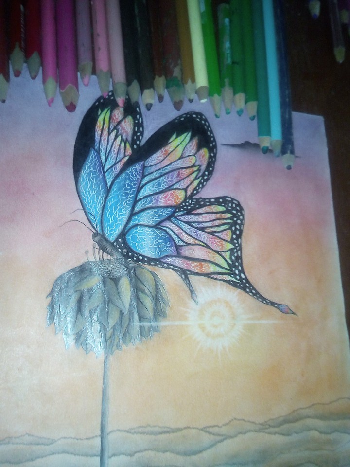 my hobbie...