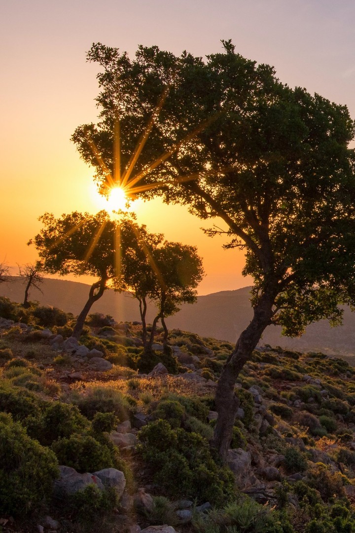 Sunrise