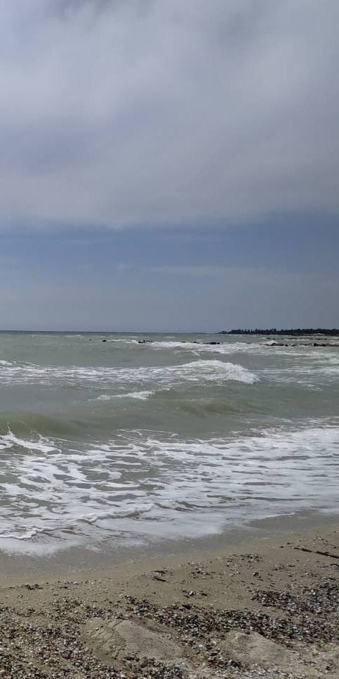 мореечко любимое