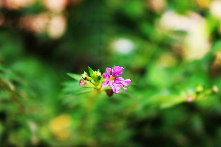 Spring!