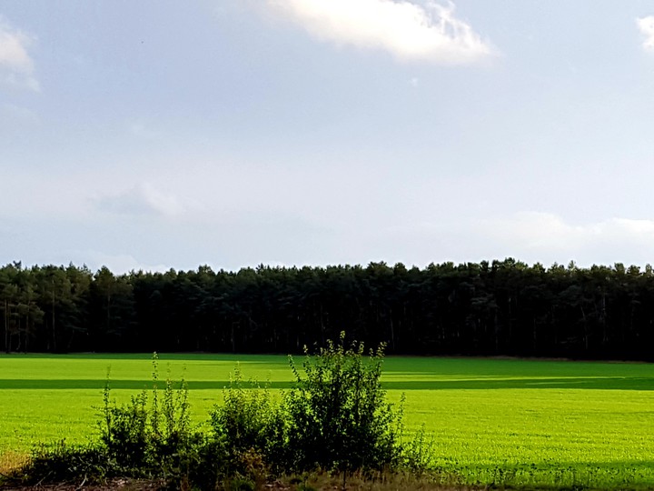 Nature