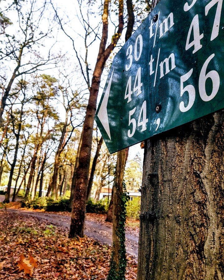 #place