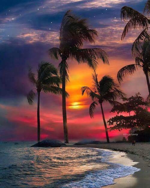 sunset