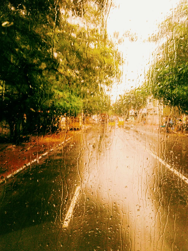 Rainy day