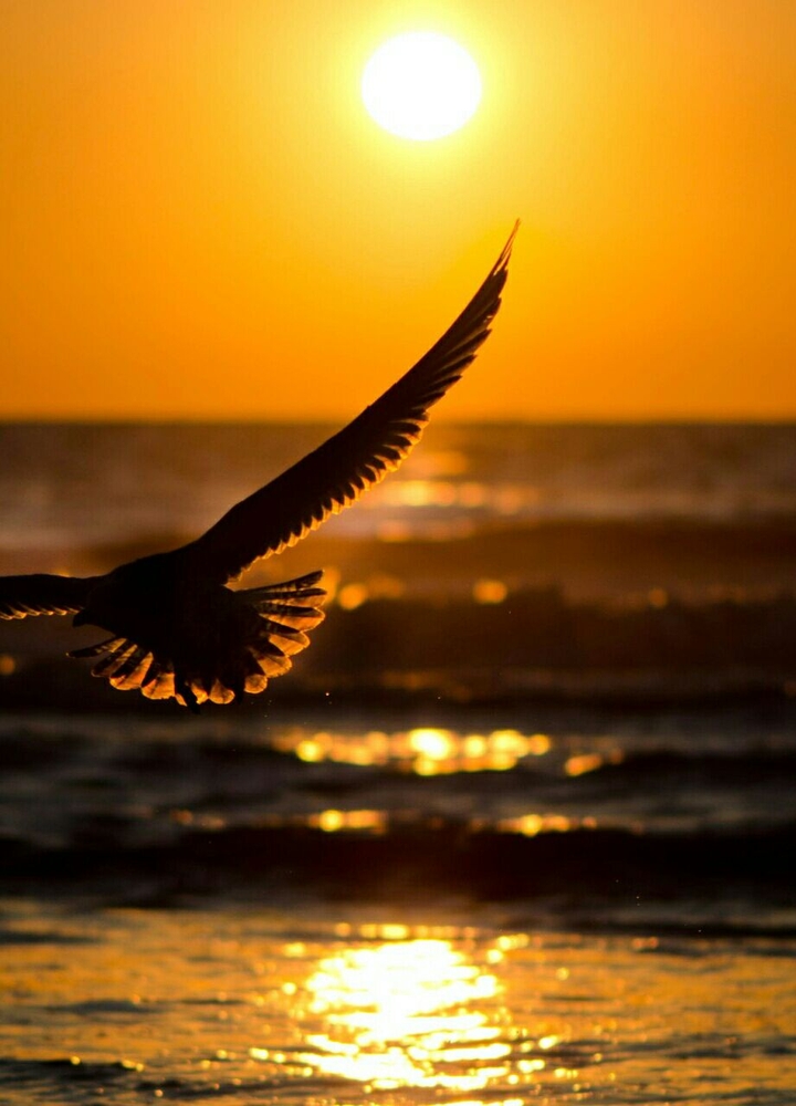 beautifully pic