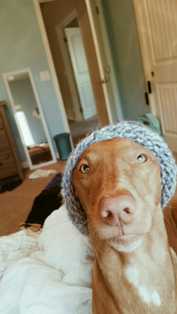 Cute
