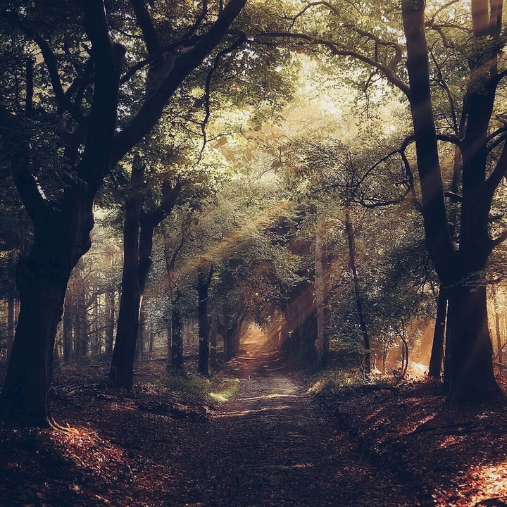 Nature