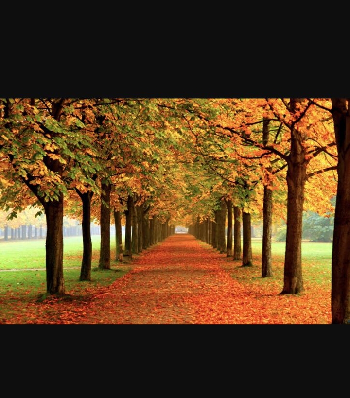 Autumn