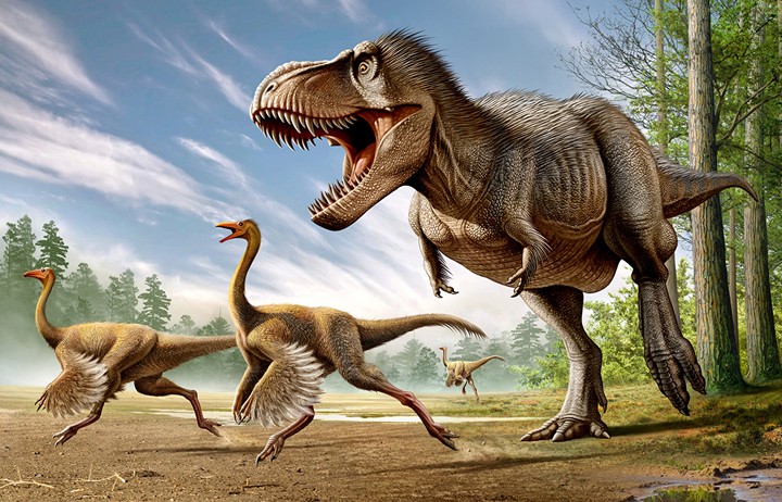 trex