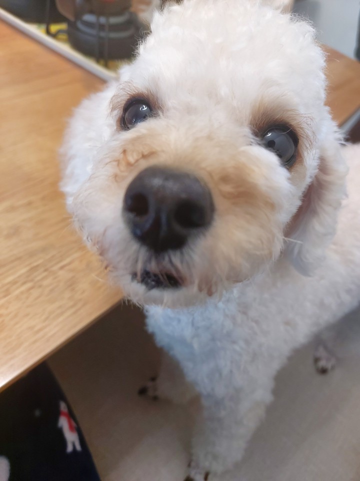 주세요ㅠ
