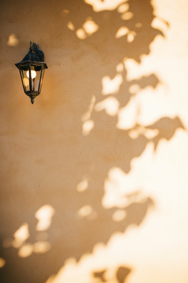 sunlight